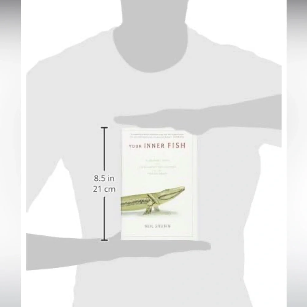 Your Inner Fish - Picture 4 of 6